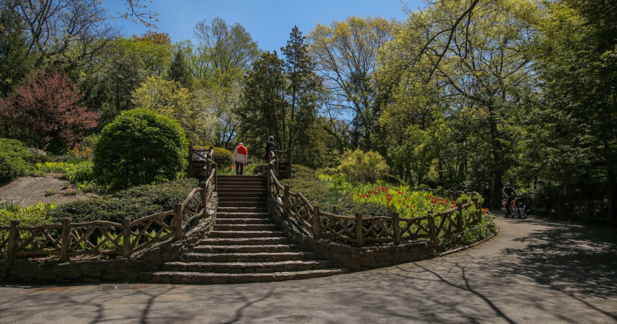Blooms and Bards: Exploring Shakespeare's Garden