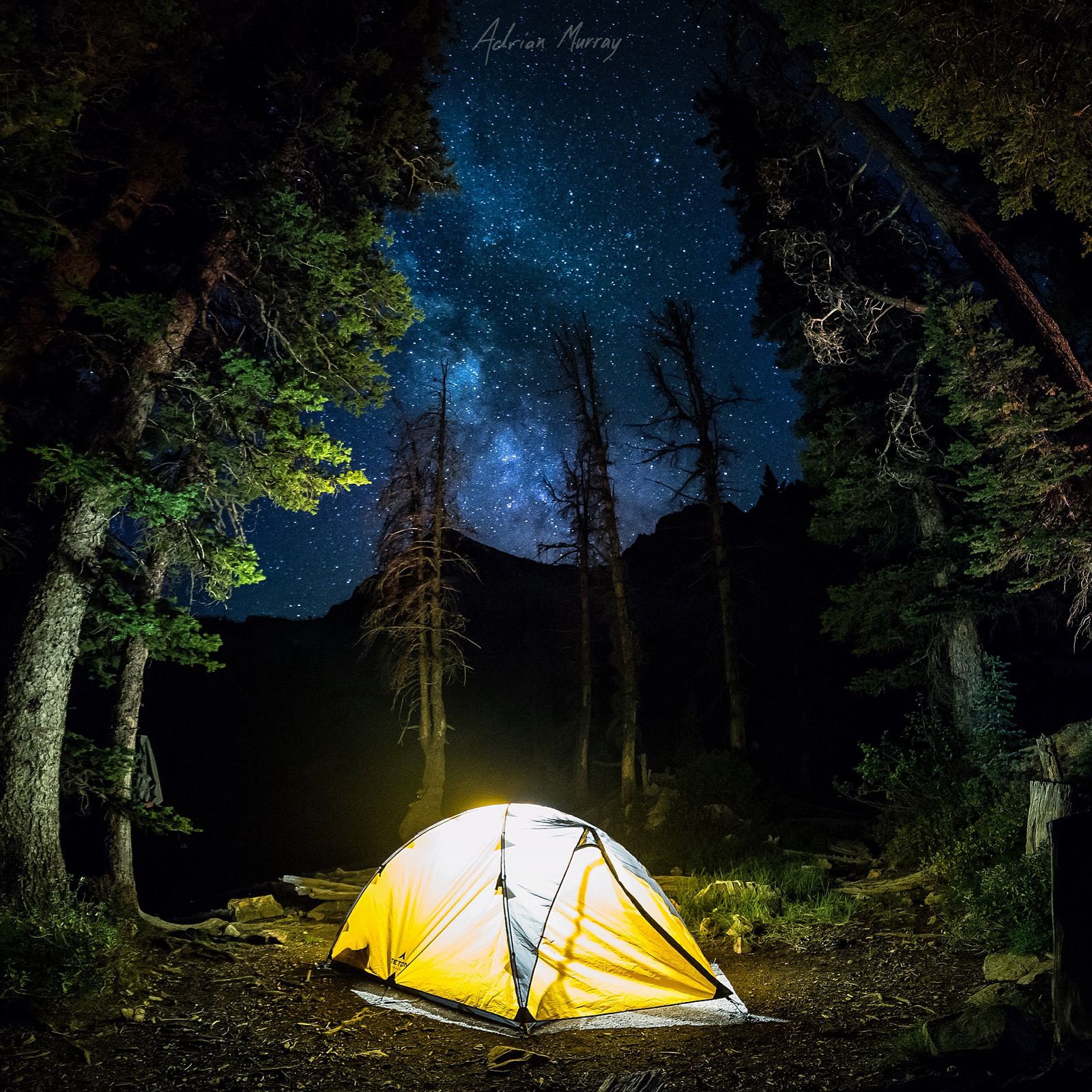 Bard Under the Stars in Idaho: A Shakespearean Adventure in Nature's Theater